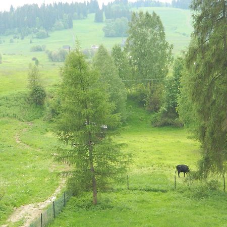 Dom Wypoczynkowy Julia Bialka Tatrzanska Cameră foto
